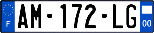 AM-172-LG