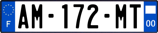AM-172-MT