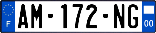 AM-172-NG
