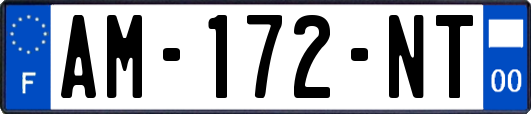 AM-172-NT