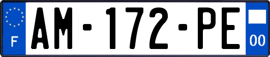 AM-172-PE