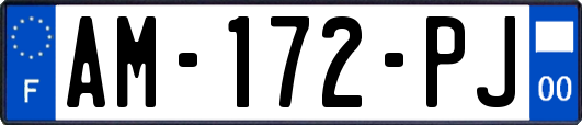 AM-172-PJ