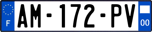 AM-172-PV