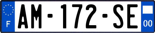 AM-172-SE
