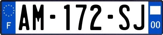 AM-172-SJ