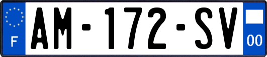 AM-172-SV