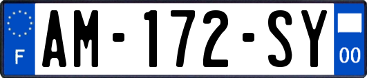 AM-172-SY
