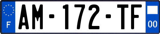 AM-172-TF