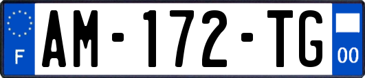 AM-172-TG