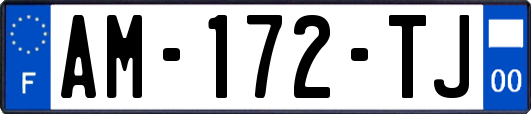 AM-172-TJ