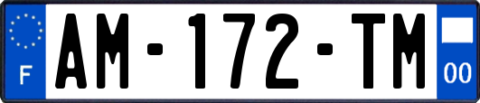 AM-172-TM