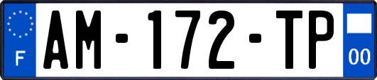 AM-172-TP