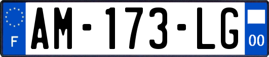 AM-173-LG