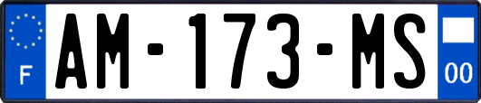 AM-173-MS
