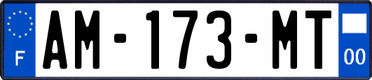 AM-173-MT