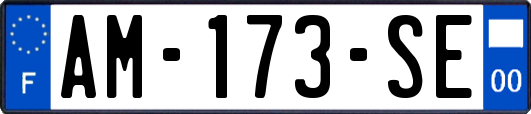 AM-173-SE