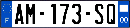 AM-173-SQ