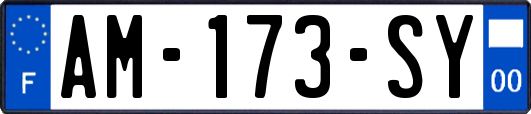 AM-173-SY