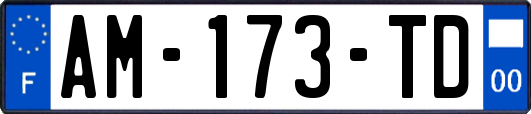 AM-173-TD