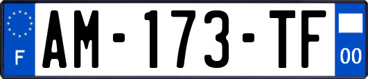 AM-173-TF