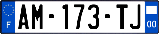 AM-173-TJ