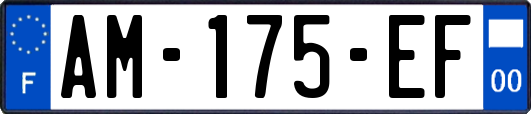 AM-175-EF