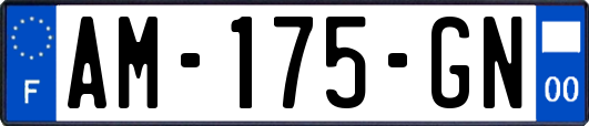 AM-175-GN