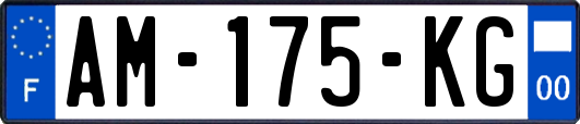 AM-175-KG