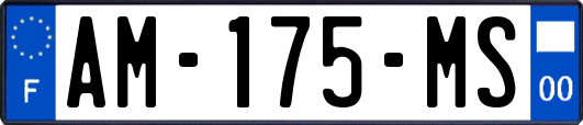 AM-175-MS