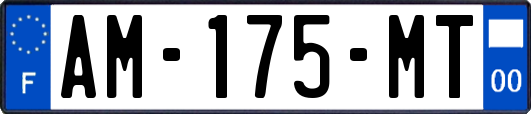 AM-175-MT