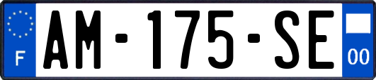 AM-175-SE