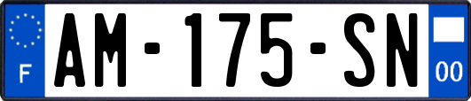 AM-175-SN