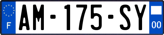 AM-175-SY