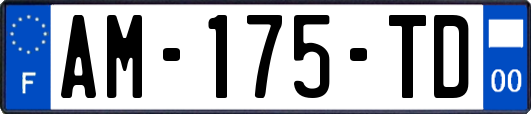 AM-175-TD