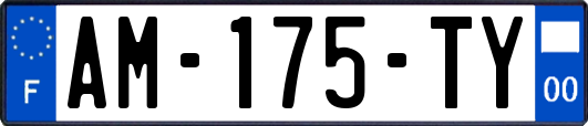AM-175-TY