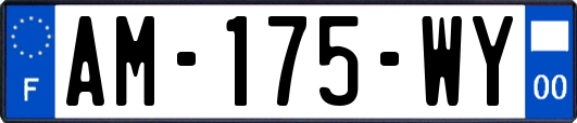 AM-175-WY