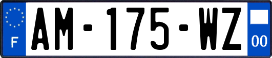 AM-175-WZ