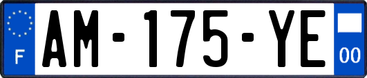 AM-175-YE
