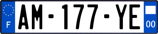 AM-177-YE