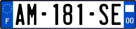 AM-181-SE