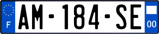 AM-184-SE