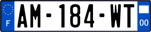 AM-184-WT
