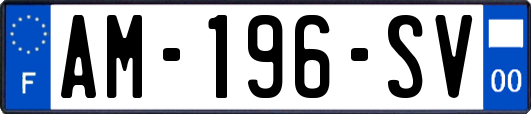 AM-196-SV