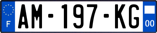 AM-197-KG