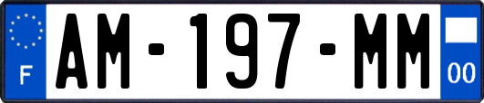 AM-197-MM