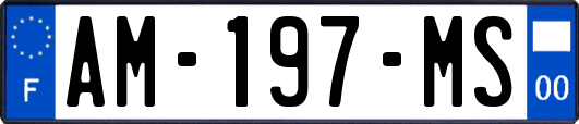 AM-197-MS