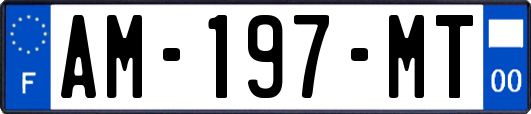 AM-197-MT