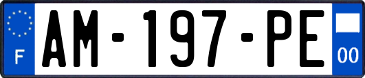 AM-197-PE
