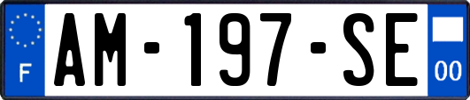 AM-197-SE