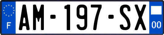 AM-197-SX